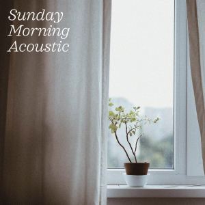 Various的專輯Sunday Morning Acoustic