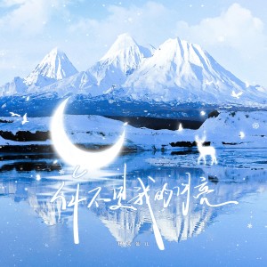 楊大仙兒的專輯你不是我的月亮
