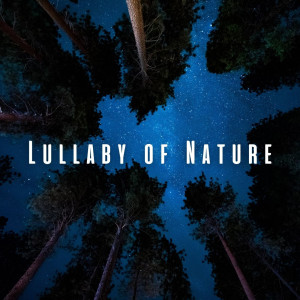 Lullaby of Nature: Sleep Deeply with Chill Soundscapes