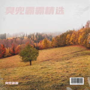 Album 臭兜霸霸精选 from 臭兜霸霸