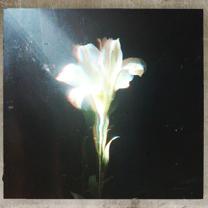 อัลบัม Light That Leads Me ศิลปิน Netsky