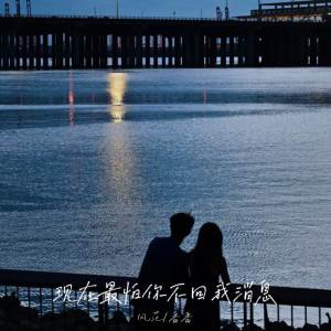 Listen to 现在最怕你不回我消息 song with lyrics from 风范