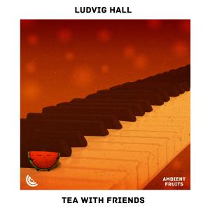 Listen to Tea with Friends song with lyrics from Ludvig Hall