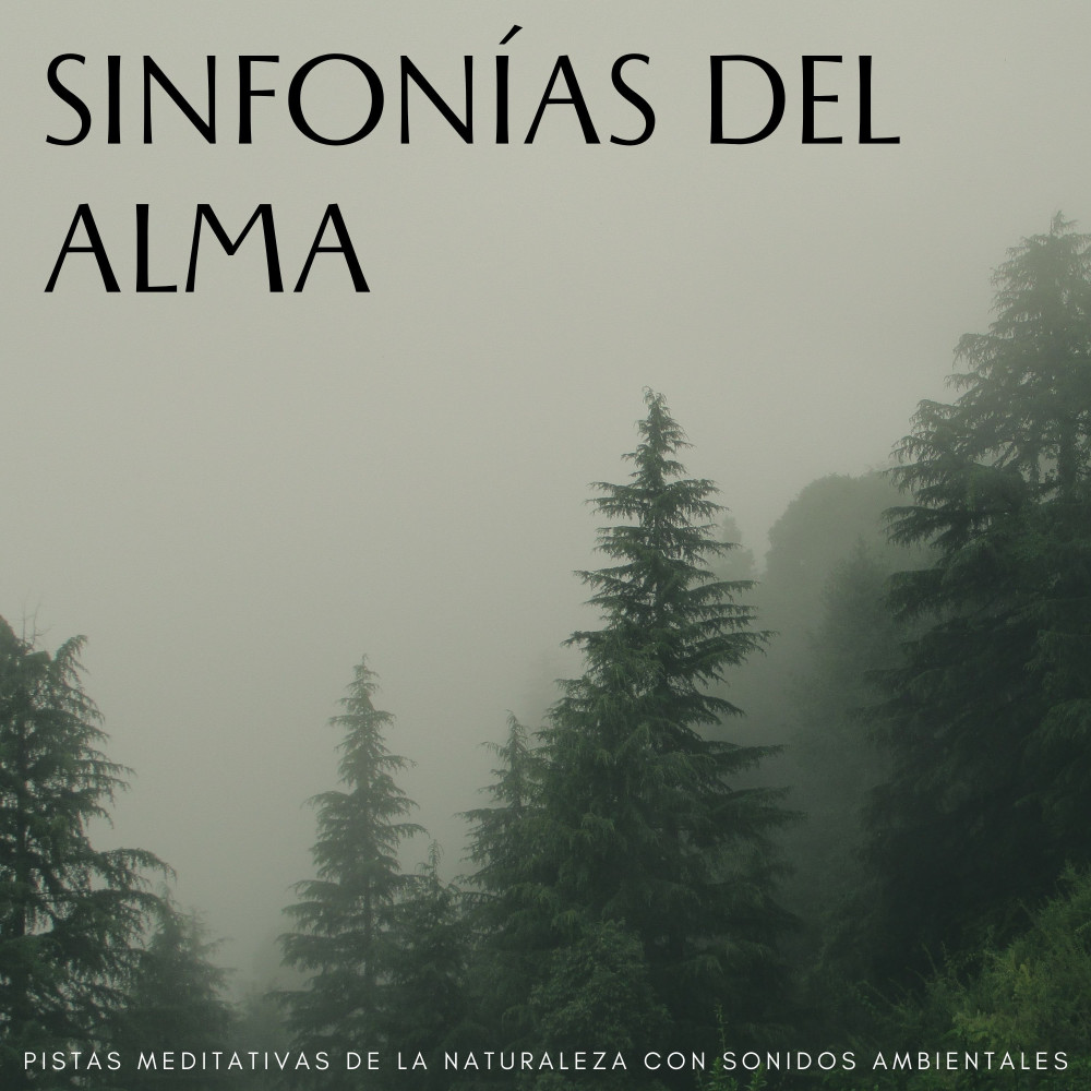 Meditación Sinfónica En La Naturaleza