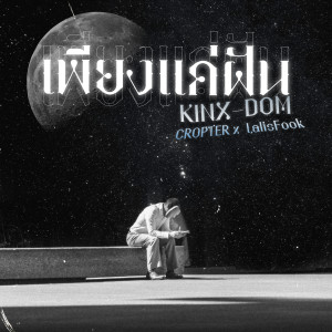 ดาวน์โหลดและฟังเพลง เพียงแค่ฝัน พร้อมเนื้อเพลงจาก KINX-DOM