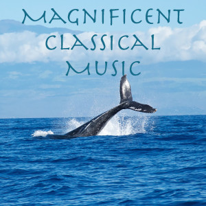 Listen to Gavotte: I song with lyrics from Prophet Orchestra