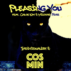 收听DJ Cosmin的Pleasing You歌词歌曲
