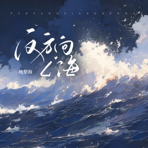Album 反方向人海 from 枕梨海