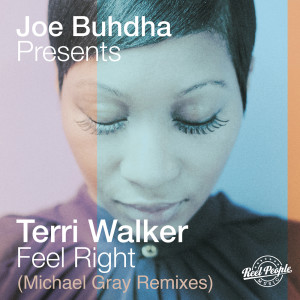 收聽Joe Buhdha的Feel Right (Michael Gray Dub Mix)歌詞歌曲
