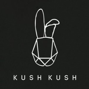 ดาวน์โหลดและฟังเพลง Fight Back with Love Tonight (Club Mix) พร้อมเนื้อเพลงจาก Kush Kush