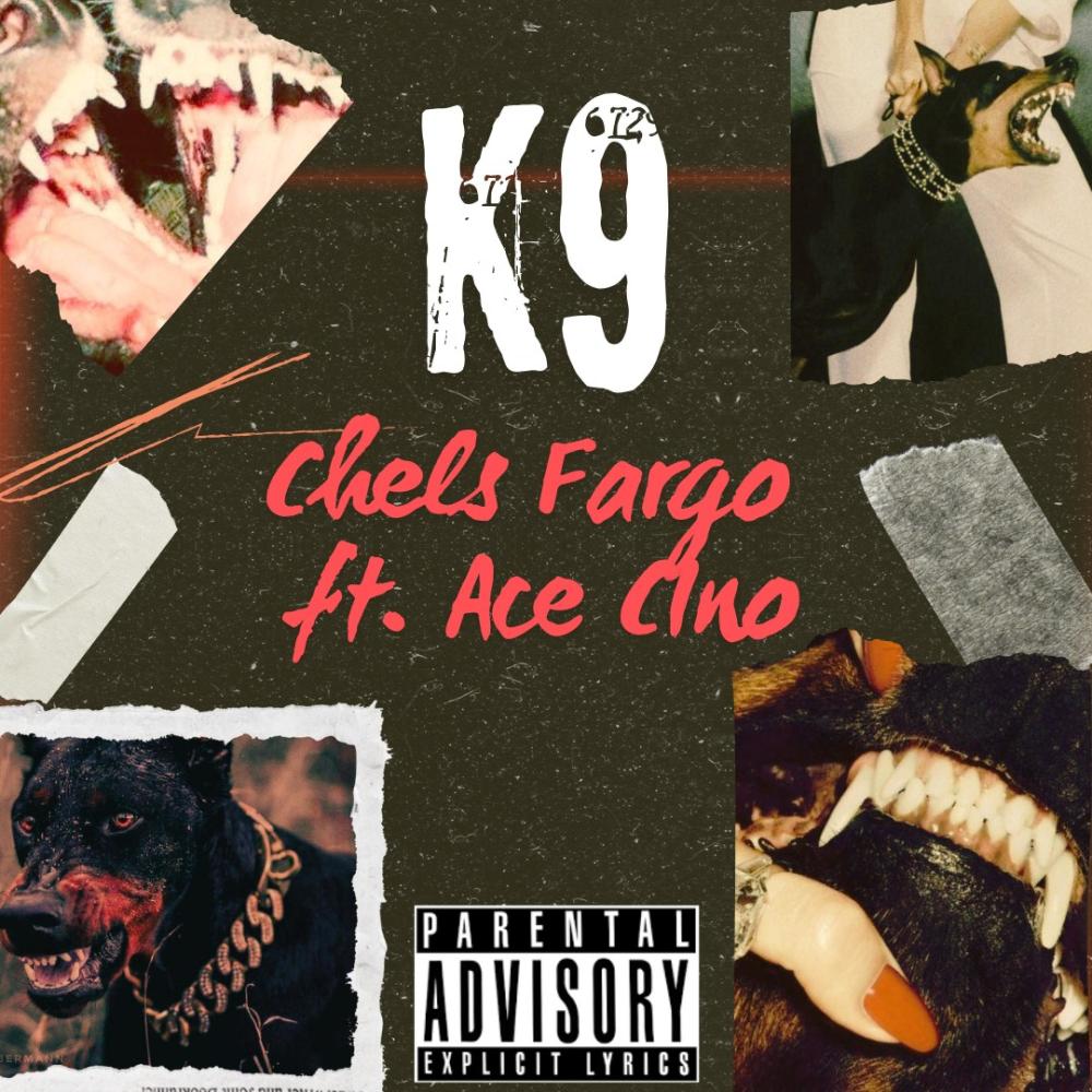 K9 (feat. Ace Cino) (Explicit)