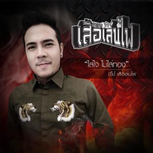 Listen to ใส่ใจ ไม่ใส่ทอง song with lyrics from ปีโป้ เสือเล่นไฟ