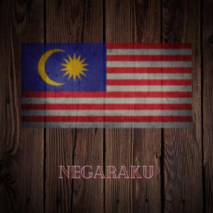 Listen to N e g a r a k u(lofi ver.) song with lyrics from Arwin