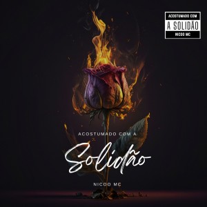 Listen to Banco do Carona (Explicit) song with lyrics from Nicoo mc