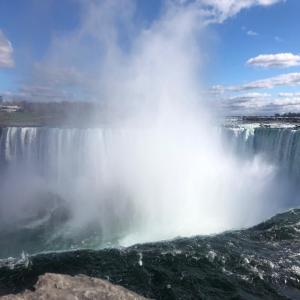 收聽Dante Rose的Suicide is the Answer (Explicit)歌詞歌曲