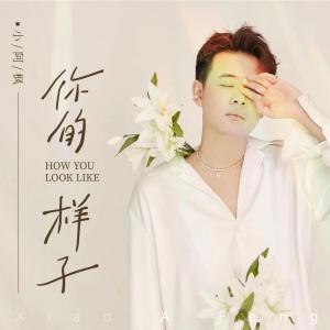 Listen to 你的样子 song with lyrics from 小阿枫