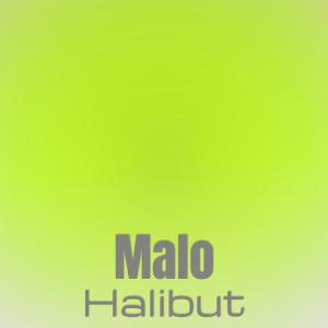 Album Malo Halibut from Various