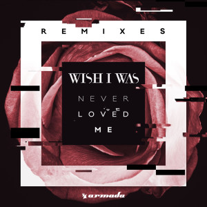 Dengarkan lagu Never Loved Me (FarleyCZ Remix) nyanyian Wish I Was dengan lirik