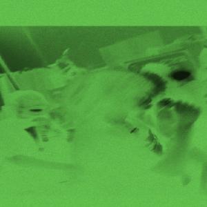 收聽Tripvhs的City On Lock (feat. Itzozzy) (Explicit)歌詞歌曲