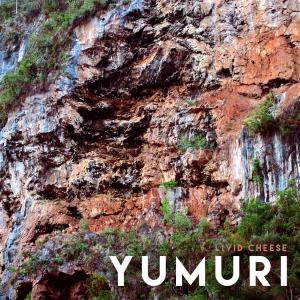 Album Yumuri from 