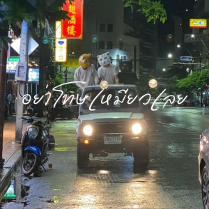 อัลบัม อย่าโทษเหมียวเลย ศิลปิน จินตนาการ