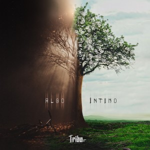 Tribo da Periferia的專輯Algo Íntimo
