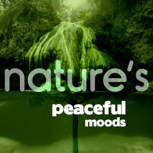 ดาวน์โหลดและฟังเพลง Water Under the Bridge พร้อมเนื้อเพลงจาก Nature Moods