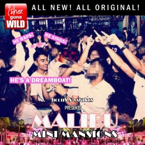 Listen to Malibu (with vstakcs) song with lyrics from Hocu$