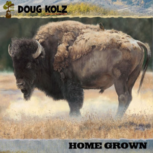 Listen to Loss song with lyrics from Doug Kolz