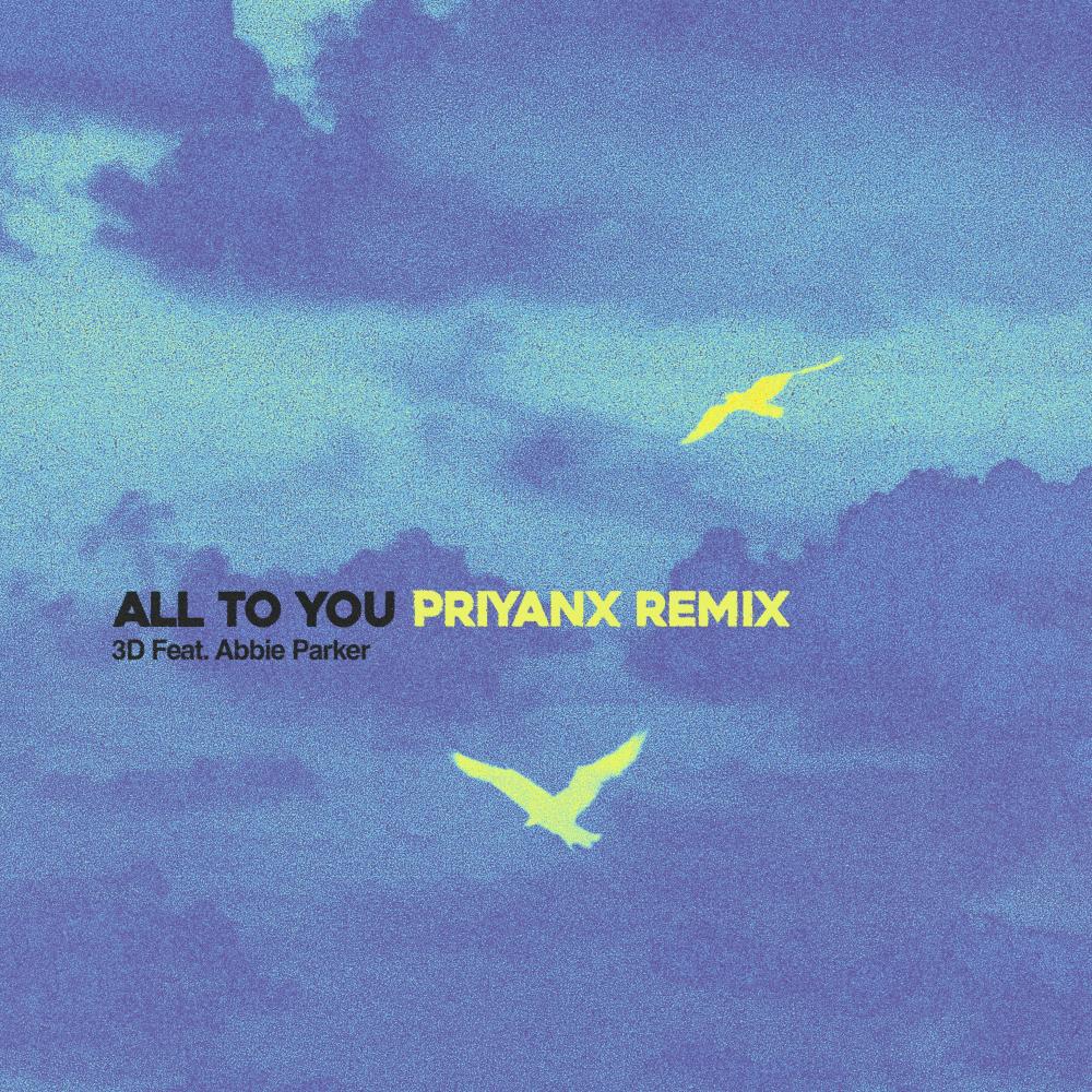 All To You (feat. Abbie Parker) (PRIYANX Remix)