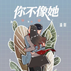 Album 你不像她 from 潘群