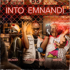 Album Into Emnandi oleh Arcader