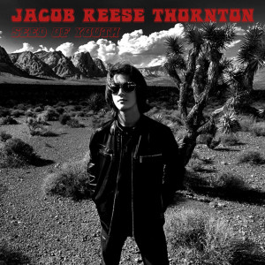 Listen to Thirteen song with lyrics from Jacob Reese Thornton
