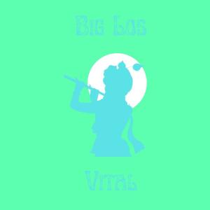 Big Los的专辑Vital (Explicit)