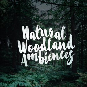 อัลบัม Natural Woodland Ambiences ศิลปิน Nature Sounds 2015