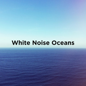 ดาวน์โหลดและฟังเพลง Dog Sleep พร้อมเนื้อเพลงจาก Ocean Sounds