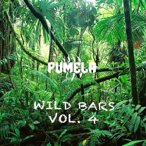 Listen to Wild Bars, Vol. 4 (Explicit) song with lyrics from Kion Studio