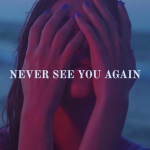 Listen to Never See You Again song with lyrics from Stili