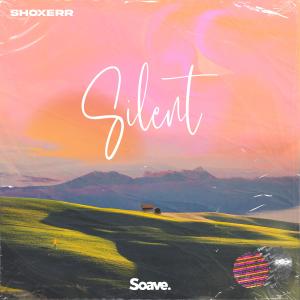 Listen to Silent song with lyrics from ShoXeRr