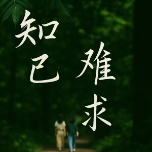 Album 知己难求 from 杨小杨