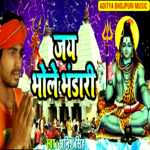 anish singh的专辑Jay Bhole Bhandri (Bolbam Bhojpuri Bhajan)