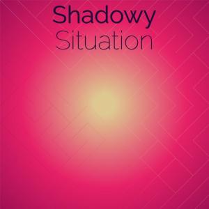 Various的专辑Shadowy Situation
