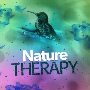 收聽Nature Sounds Therapy的At the Stream歌詞歌曲