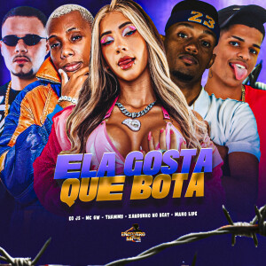 Album ELA GOSTA QUE BOTA (Explicit) from 