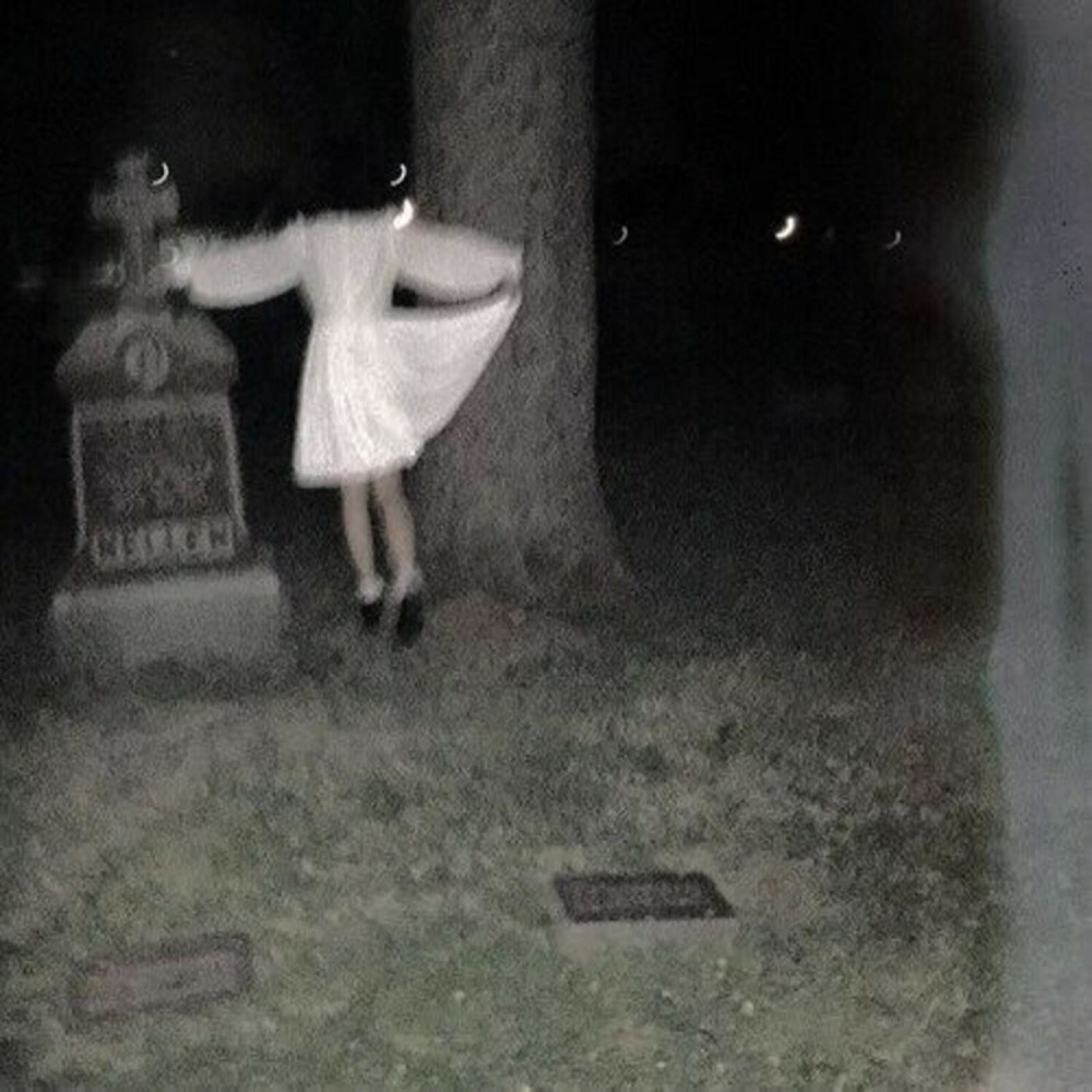 Twilight (Explicit)