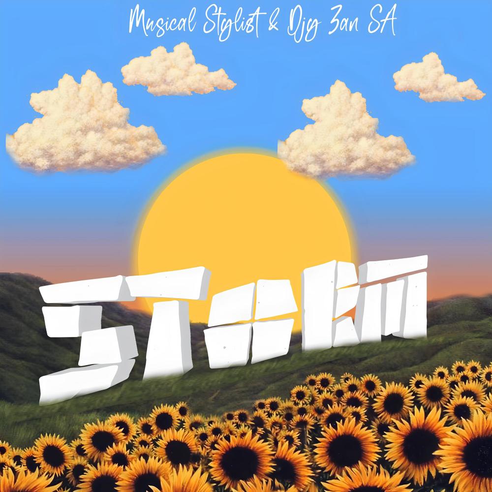 Storm (feat. musiqal_stylist) (feat. Djy Zan SA)