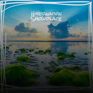 Album Hibernation Showplace from 