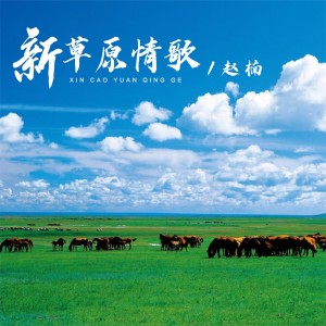 赵楠的专辑新草原情歌 (DJ默涵版)