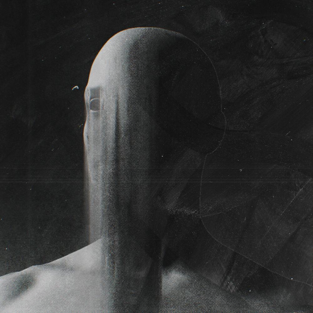 Cosmic Echoes