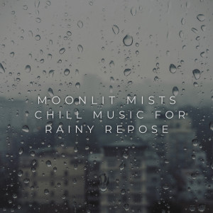 Evening Chillout Playlist的专辑Moonlit Mists: Chill Music for Rainy Repose